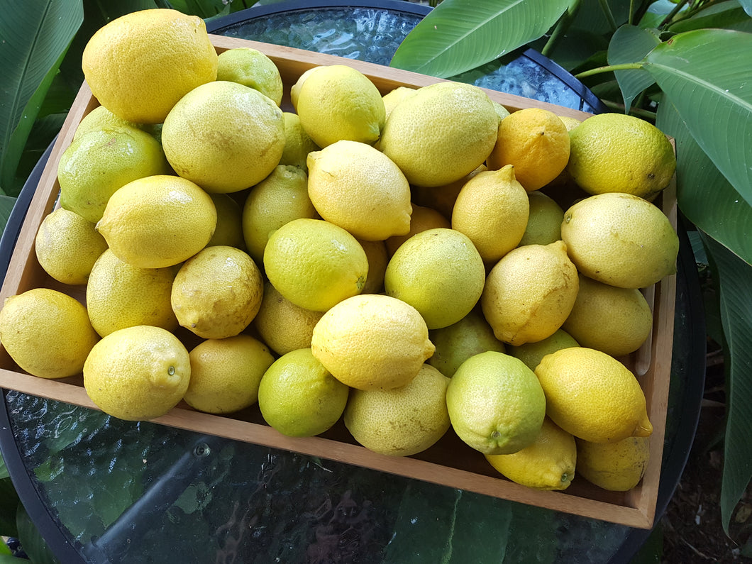 Lemons/eureka/seedless