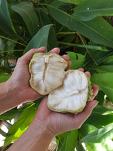 Load image into Gallery viewer, WS Custard apple
