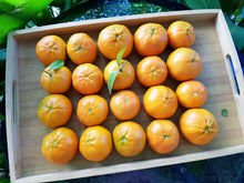 Load image into Gallery viewer, Mandarins/afourer

