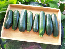 Load image into Gallery viewer, Zucchini
