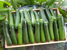 Load image into Gallery viewer, WS Zucchini
