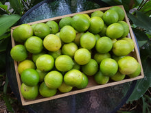 Load image into Gallery viewer, WS Limes/tahitian
