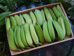 Bananas/lady finger