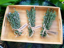 Load image into Gallery viewer, Rosemary - spray free

