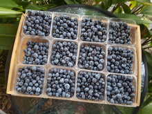 Load image into Gallery viewer, WS Blueberries
