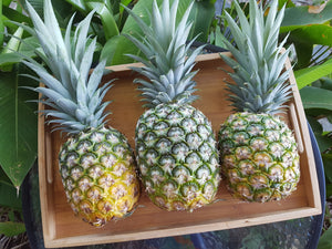 WS Pineapples