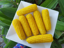 Load image into Gallery viewer, Sweet corn
