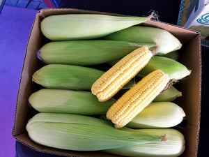 Sweet corn