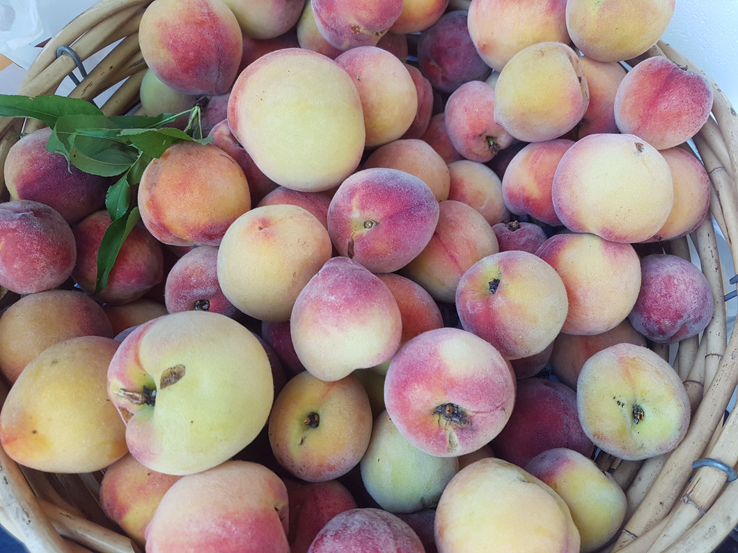 Peach (SOUTH)