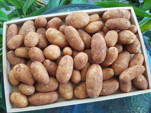 Potatoes/dutch cream CHATS (small size) -organic
