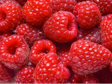 Load image into Gallery viewer, Raspberries - spray free
