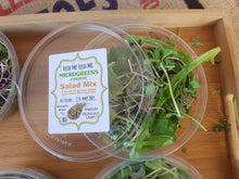 Load image into Gallery viewer, Microgreens - organically grown
