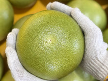 Load image into Gallery viewer, Pomelos/green

