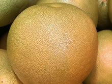 Load image into Gallery viewer, Pomelos/green
