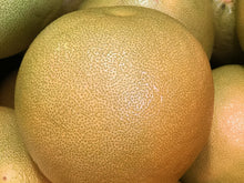 Load image into Gallery viewer, Pomelos/yellow
