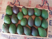 Load image into Gallery viewer, Avocados/hass
