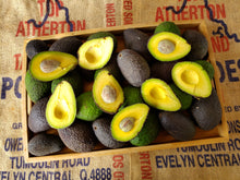 Load image into Gallery viewer, Avocados/hass
