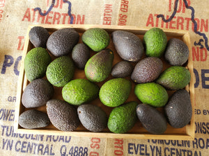 Avocados/hass