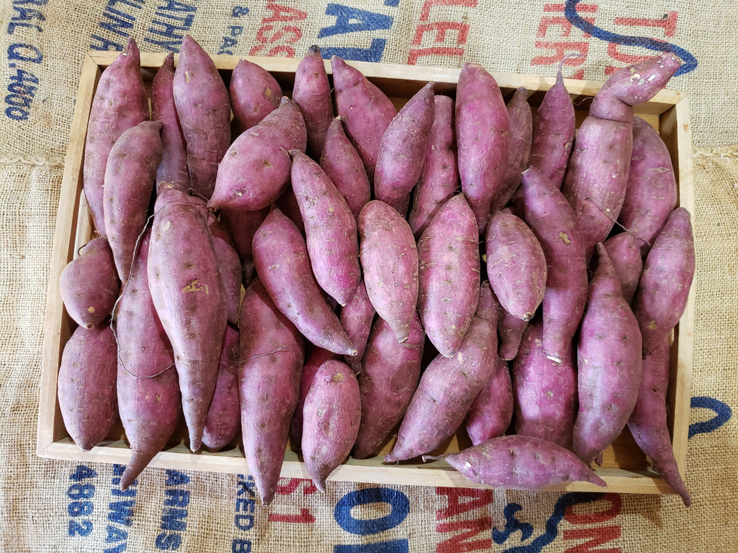 WS Sweet potatoes/red - organic