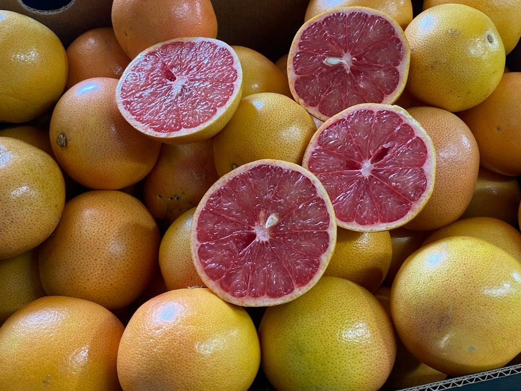 WS Grapefruit/red