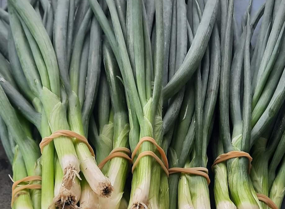 Spring onions (SOUTH)