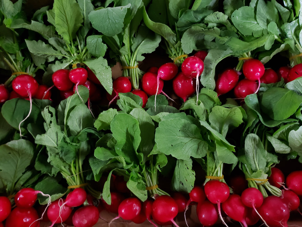Radish/bunch - spray free