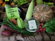 Load image into Gallery viewer, Surprise vegetable box 5kg
