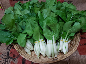 Pak choy - spray free