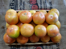 Load image into Gallery viewer, Grapefruit/red
