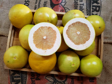 Load image into Gallery viewer, Pomelos/yellow
