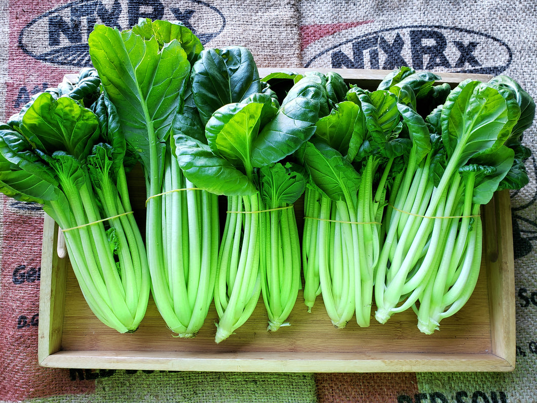 Pak choy - spray free