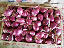 Load image into Gallery viewer, Onions/red
