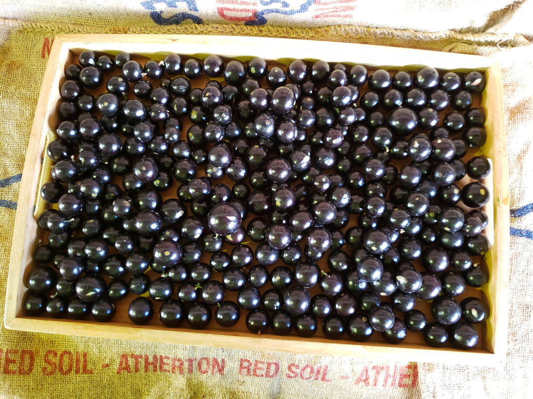 Jaboticabas