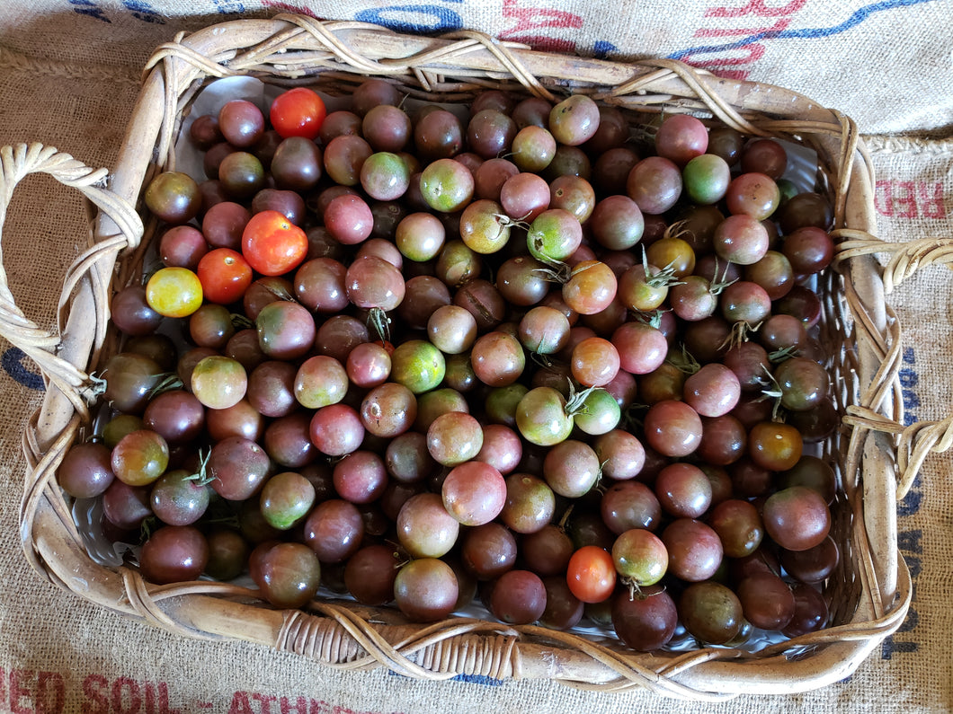 Tomatoes/black 450g
