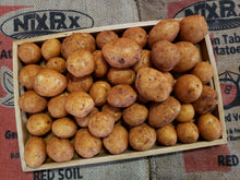 Load image into Gallery viewer, Potato/sebago CHAT (Small Sizes) -organic
