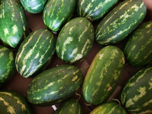 Load image into Gallery viewer, Watermelon/red tiger - seeded
