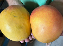 Load image into Gallery viewer, Mangoes - R2E2
