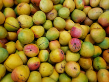 Load image into Gallery viewer, Mangoes - R2E2
