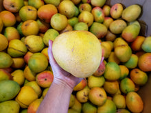 Load image into Gallery viewer, Mangoes - R2E2
