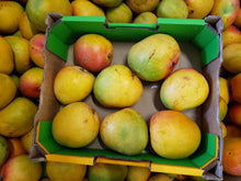 Load image into Gallery viewer, Mangoes - R2E2
