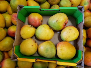 Mangoes - R2E2