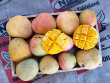 Load image into Gallery viewer, Mangoes - R2E2
