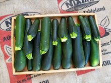 Load image into Gallery viewer, WS Zucchini
