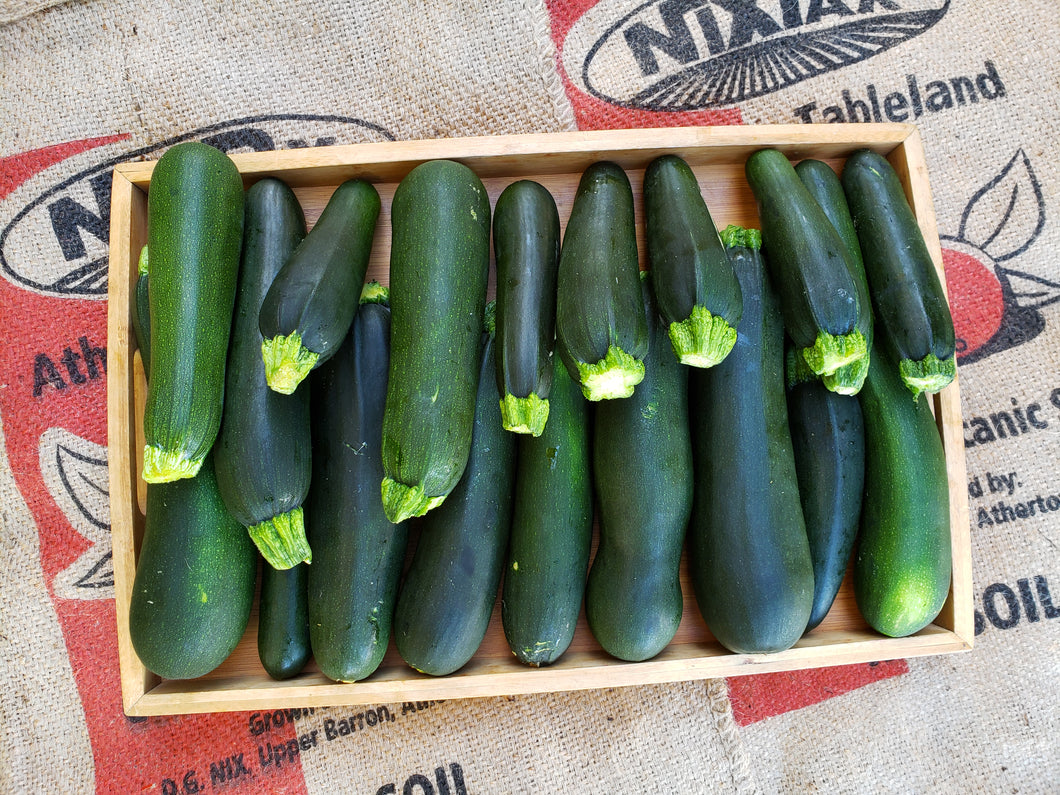 WS Zucchini