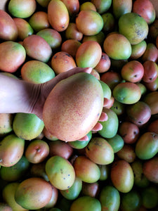 WS Mangoes/keitt