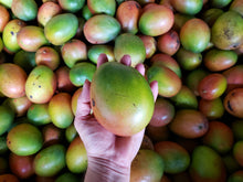 Load image into Gallery viewer, WS Mangoes/keitt
