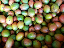 Load image into Gallery viewer, WS Mangoes/keitt
