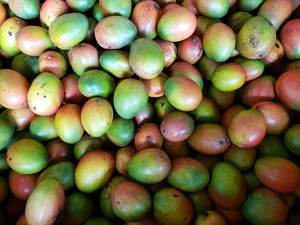 WS Mangoes/keitt