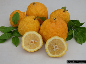 Lemons/bush -spray free