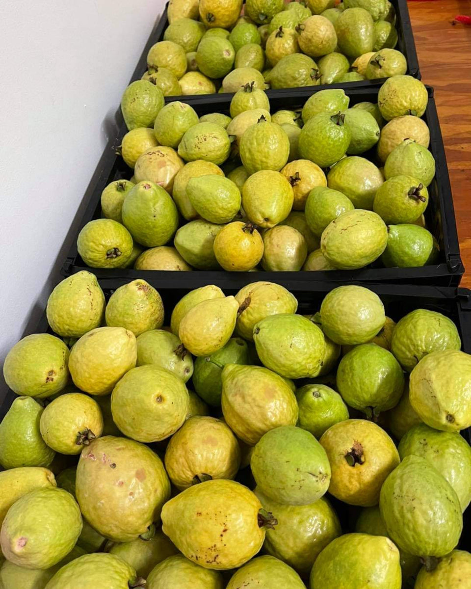 Guavas – Tablelands To Tabletop
